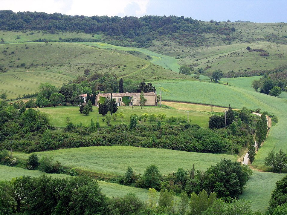 une photo de Laval Bassette