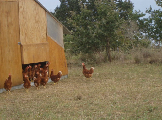 une photo de La Ferme du Salet