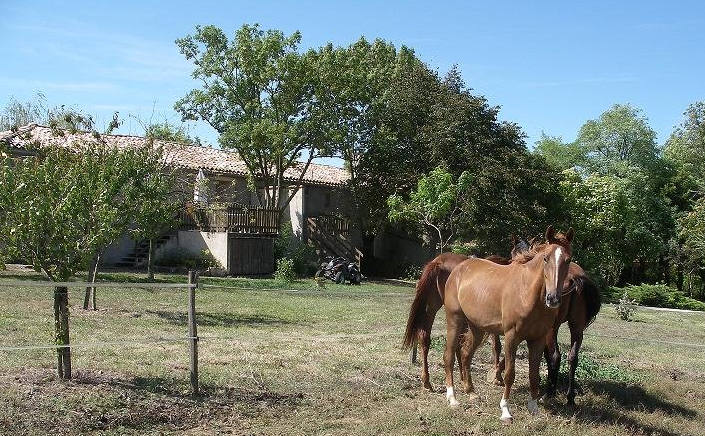 une autre photo de Domaine de Tourtel