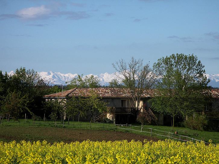 une photo de Domaine de Tourtel
