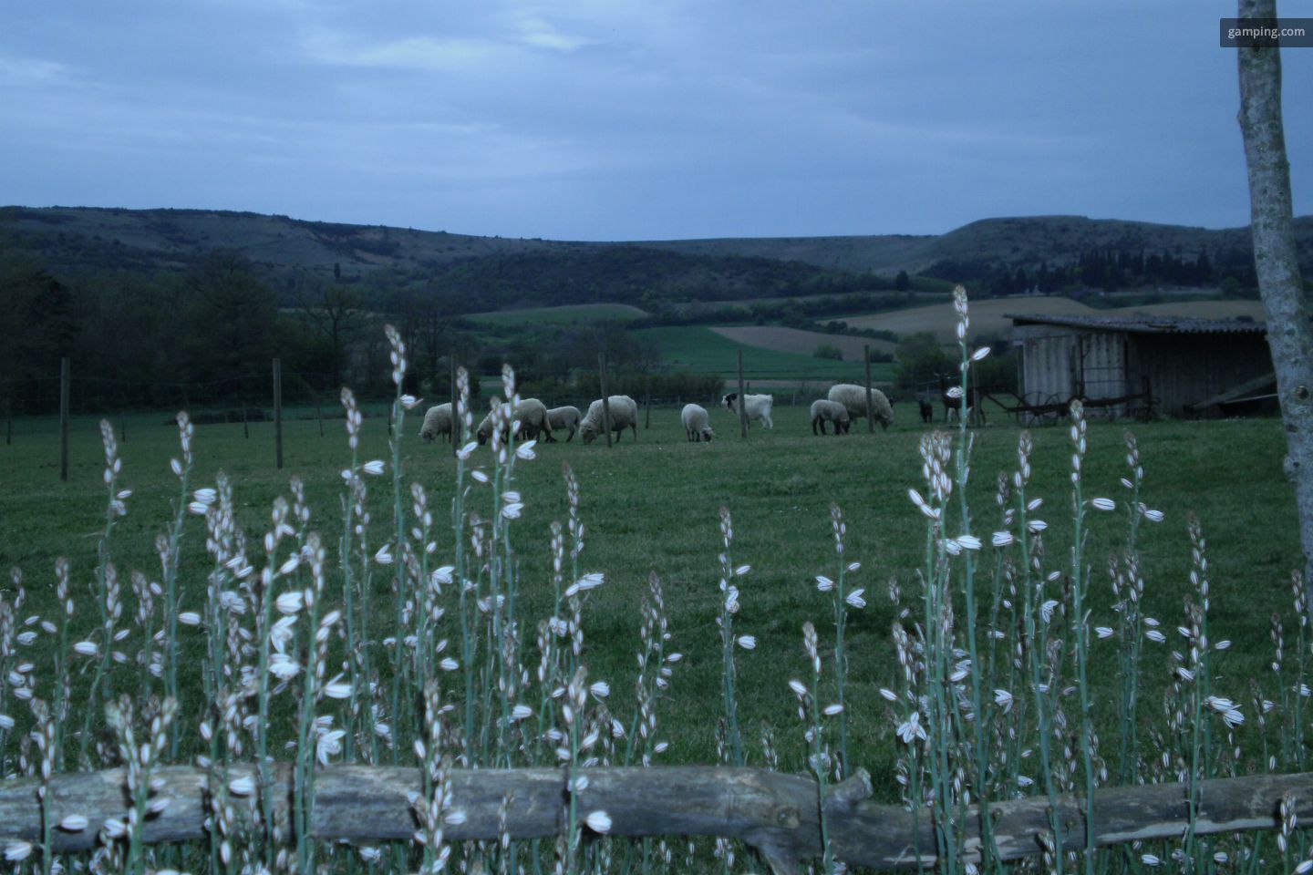 une photo de Camping à la ferme