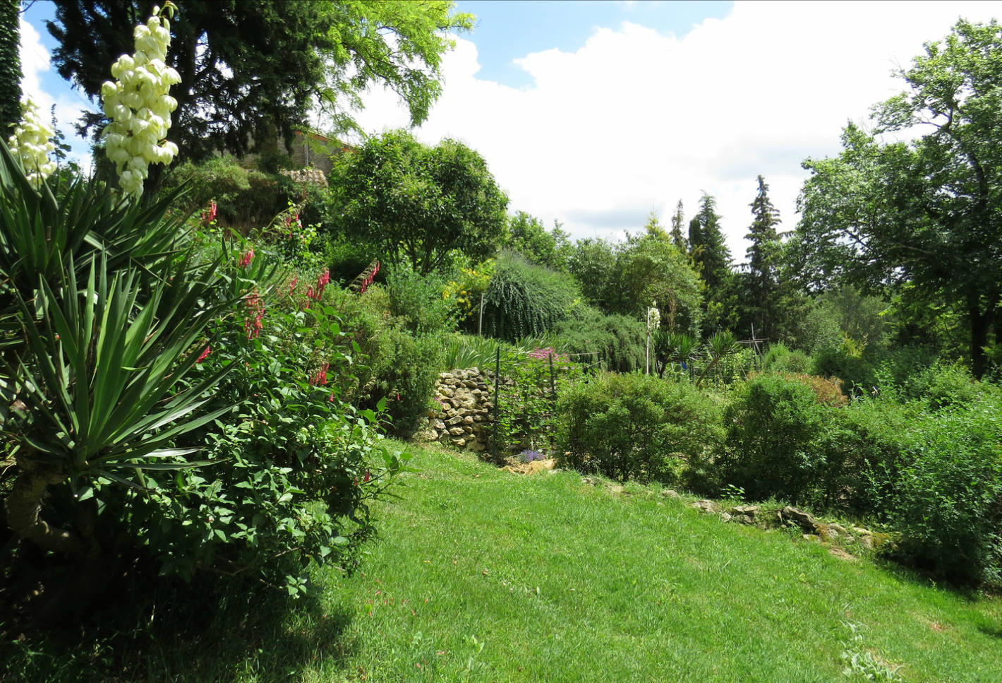 une autre photo de Ganguise le Sentier des Cathares