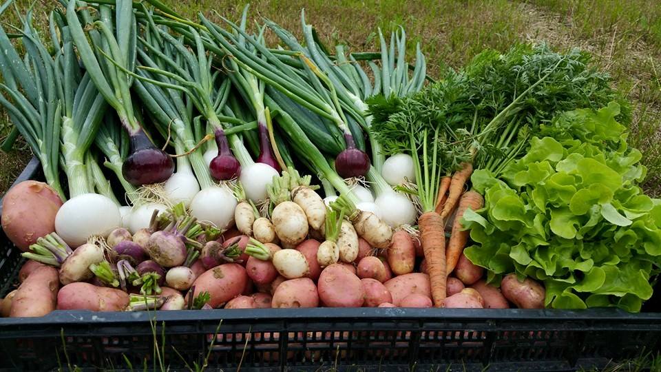 une autre photo de Le Jardin des Durands