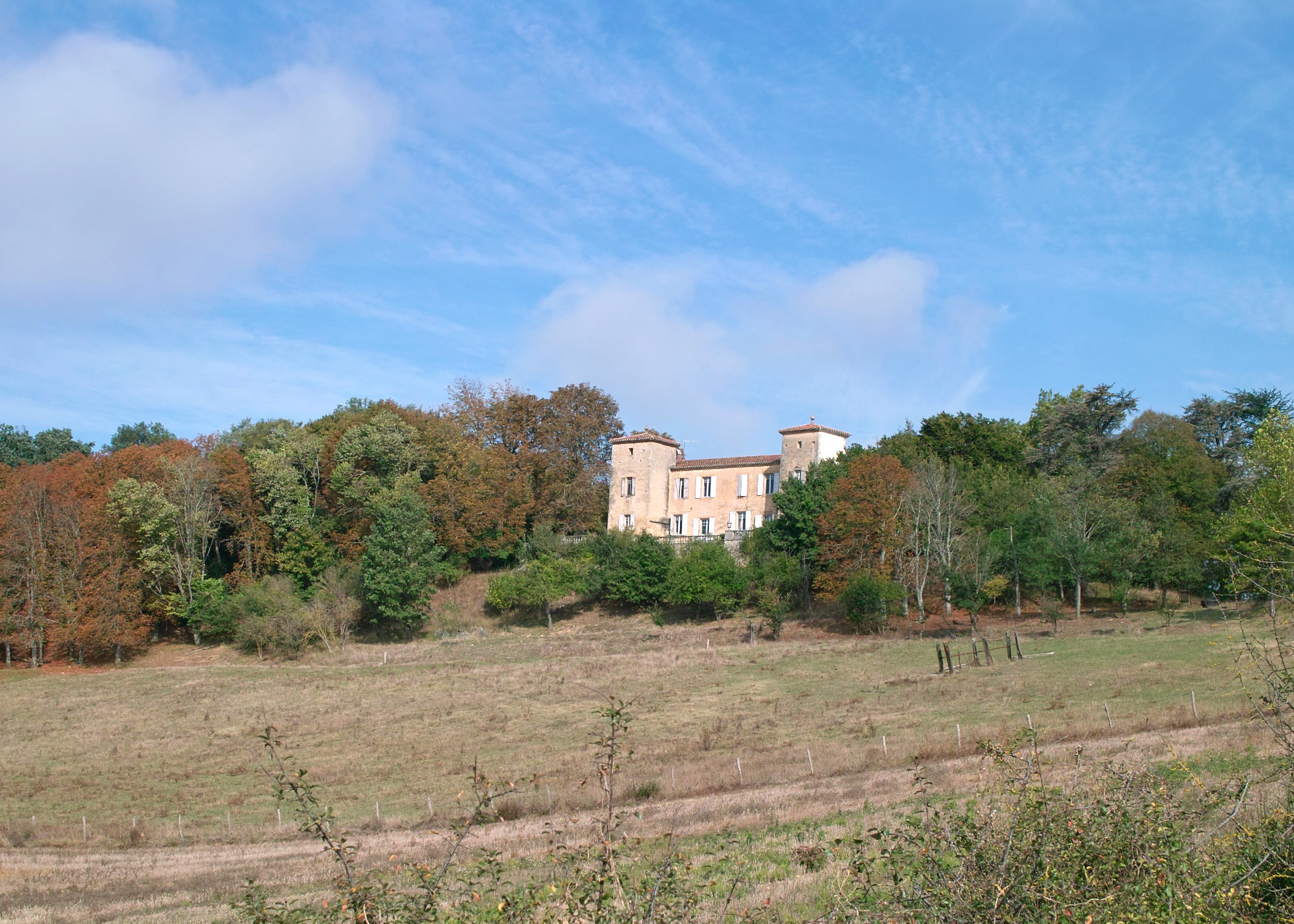 Saint-Sauveur, son château, ses porcs noirs gascons